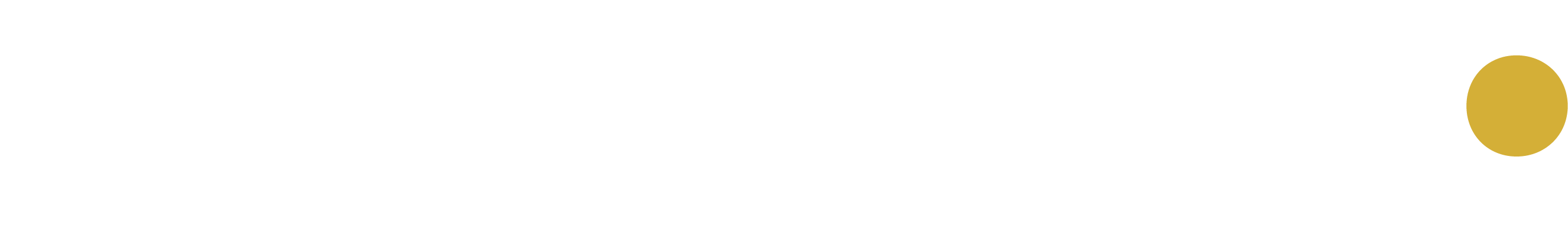 Final Prompt Logo